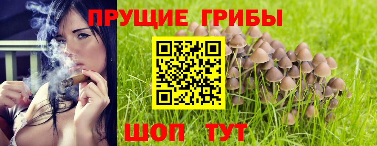 Псилоцибиновые грибы ЛСД Сосновоборск